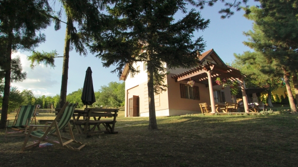 Vila Davidović