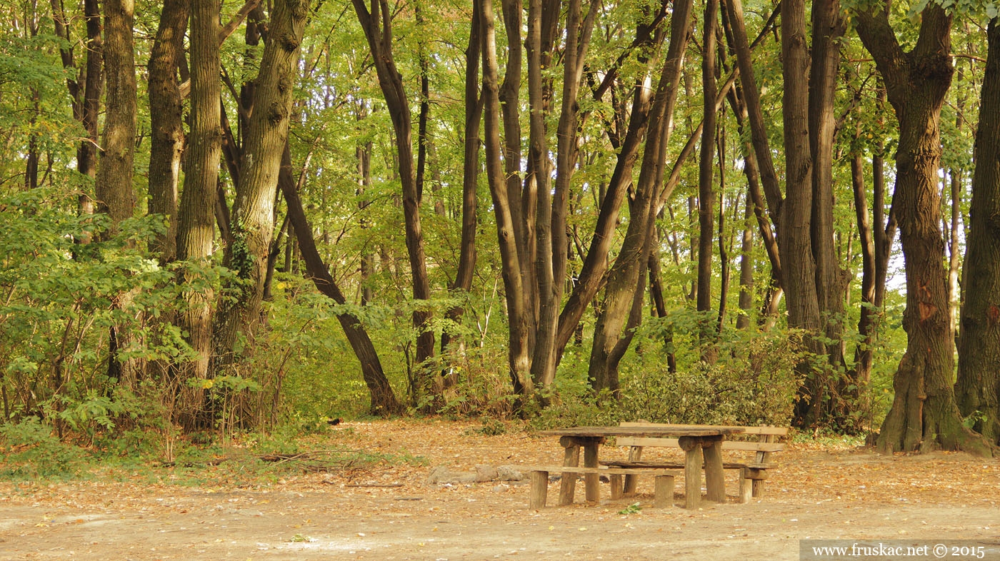 Izletište Iriški Venac | Izletišta | Lokacije | Fruška Gora, Srbija