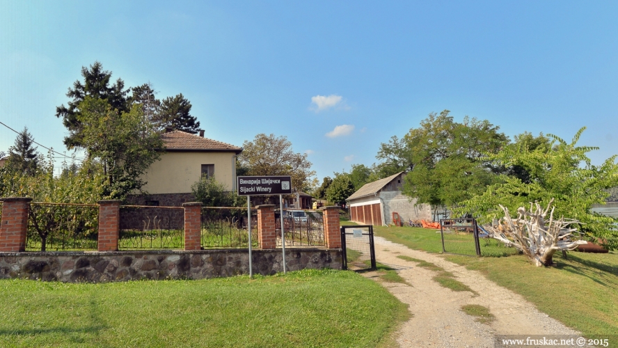 Wineries - Vinarija Šijački