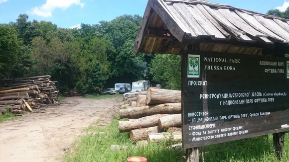 O seči šume u Nacionalnom parku Fruška gora